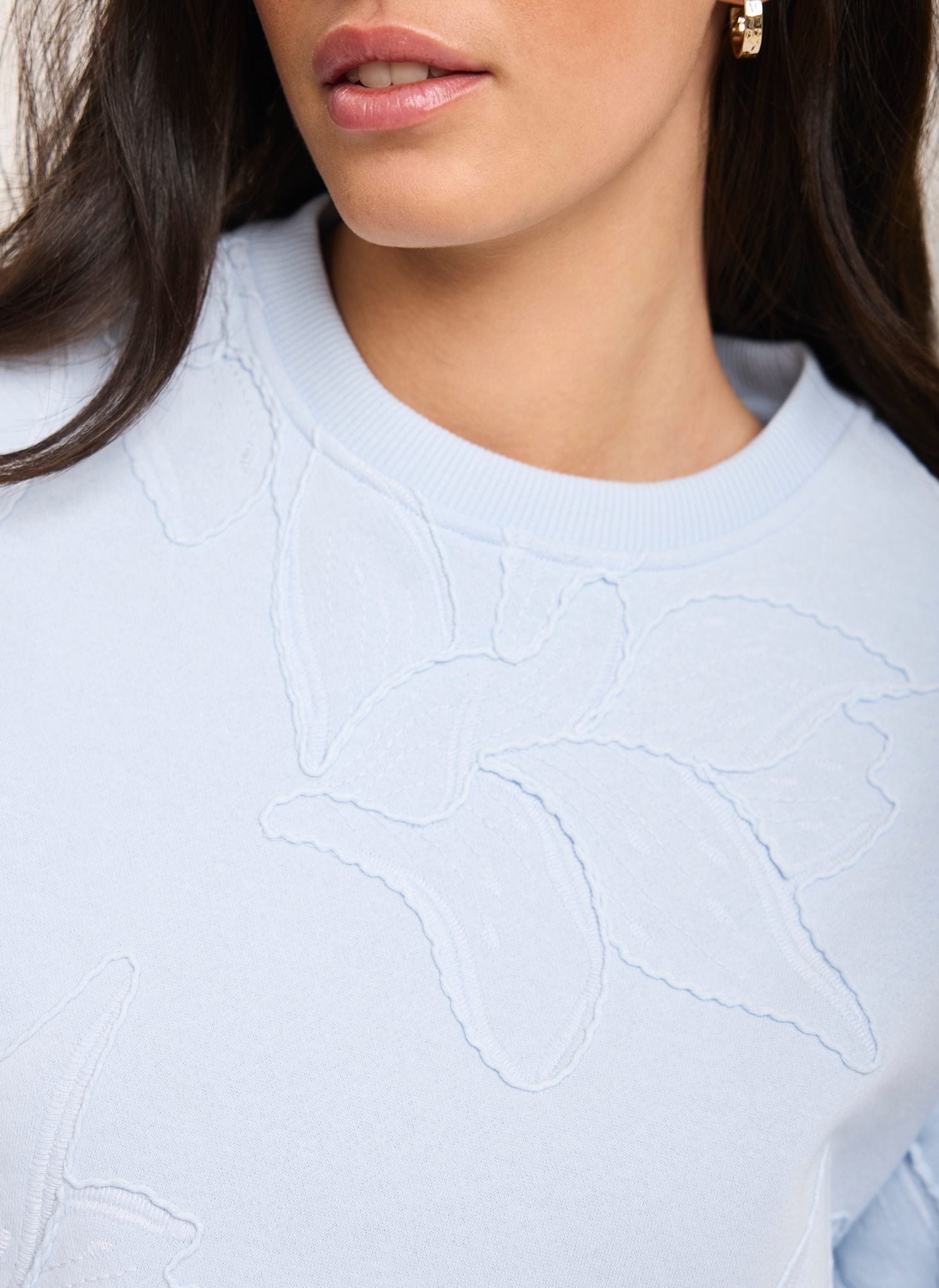 Blue Embroidered Sweatshirt