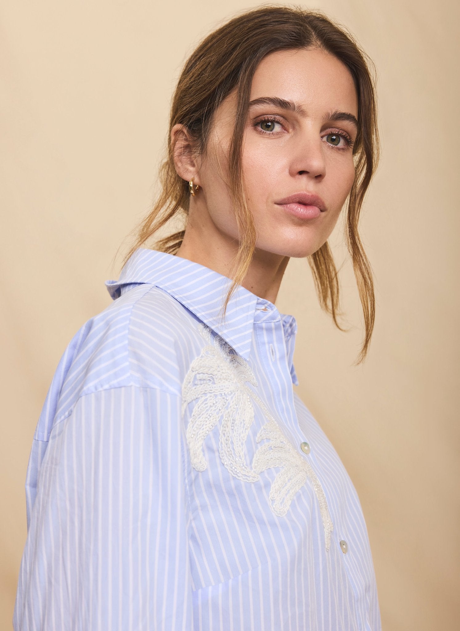 Blue Stripe Embroidered Shirt