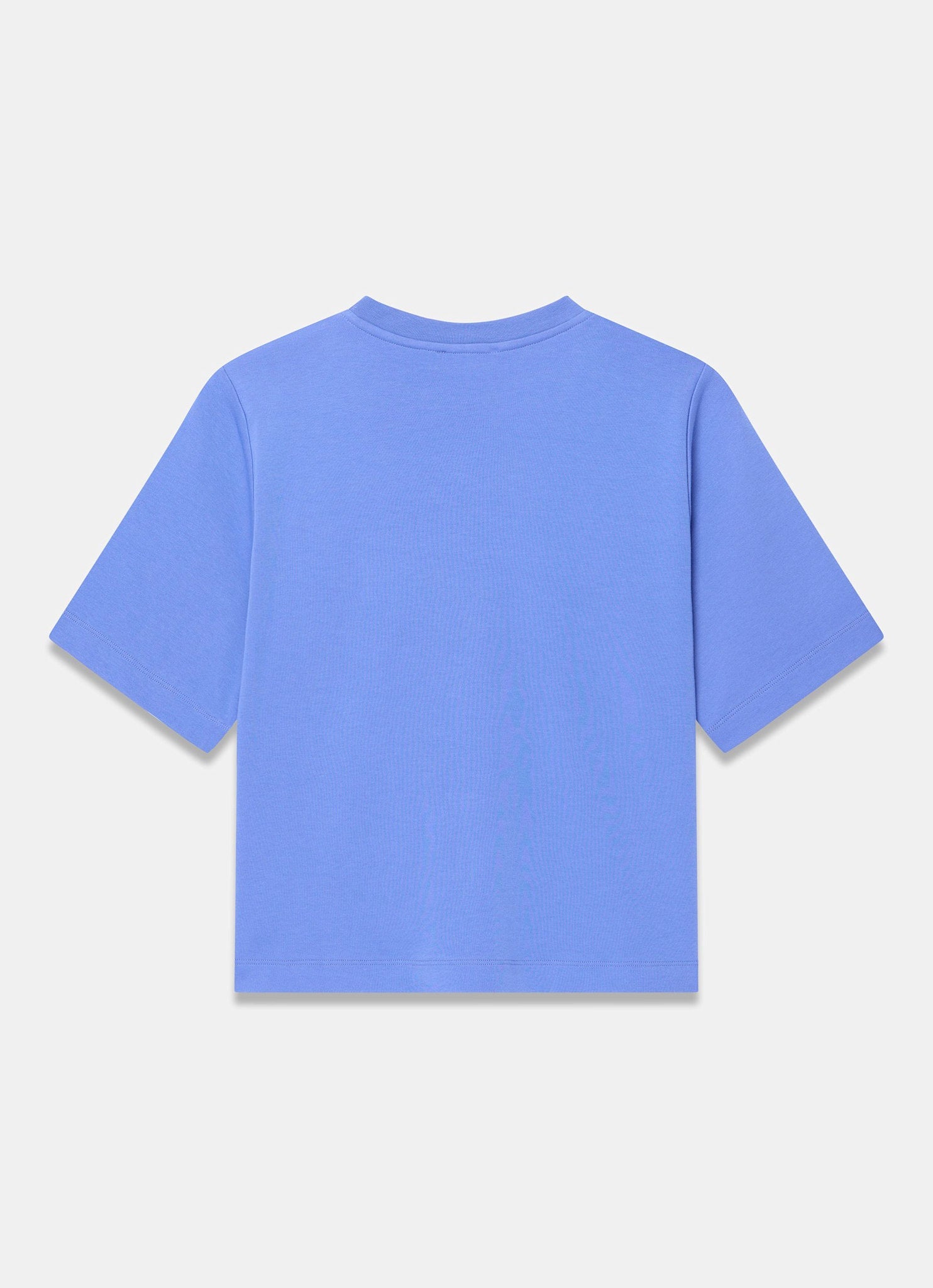 Blue Ultimate Cotton T-Shirt